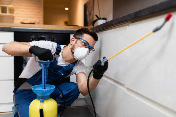Reliable Palestine, IL Pest Control Solutions