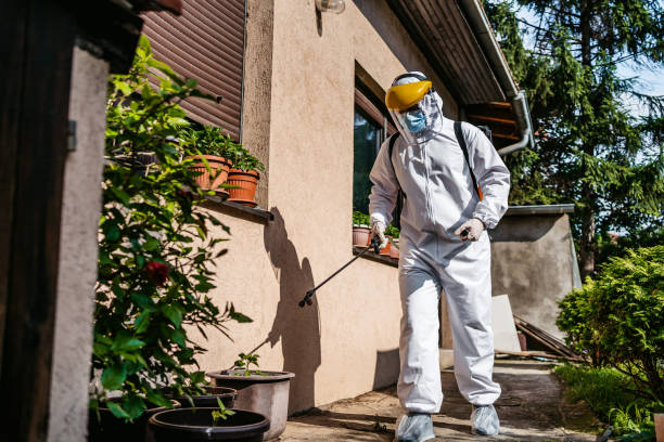 Best Emergency Pest Control  in Palestine, IL