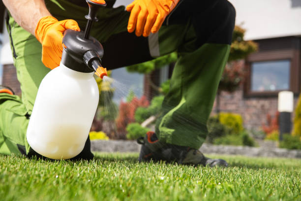 Professional Pest Control in Palestine, IL